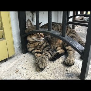 Meet your Posher, Elena